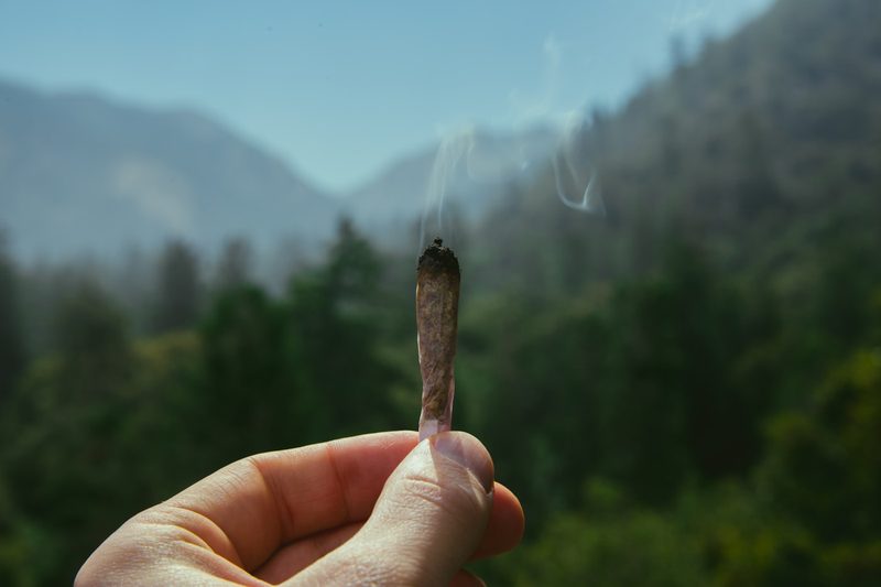 Pre-Rolls cannabis available for delivery