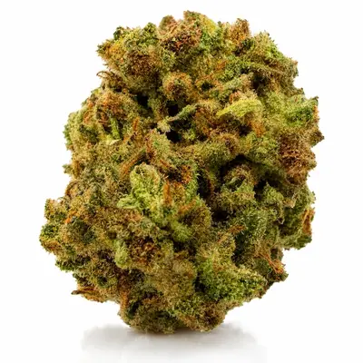 APPLE KUSH(BUDGET), Indica Hybrid