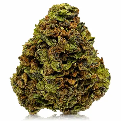 CHOCOLATE KUSH, Indica Hybrid