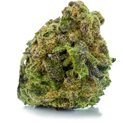 GAS MONKEY (BUDGET), Indica Hybrid