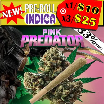 INDICA -PREROLL (PINK PREDATOR) (CRAFT), Pre-Rolls & Grabba