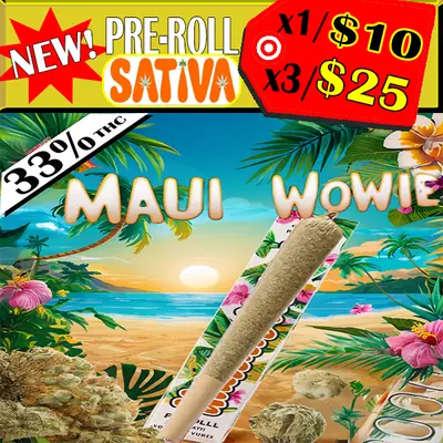 SATIVA -PREROLL (MAUI WOWIE) (CRAFT), Pre-Rolls & Grabba