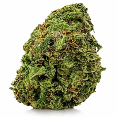 CANDY KRUSH, Sativa