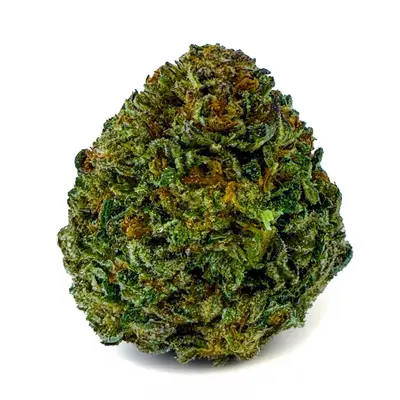 DANTE INFERNO (BUDGET), Indica Hybrid