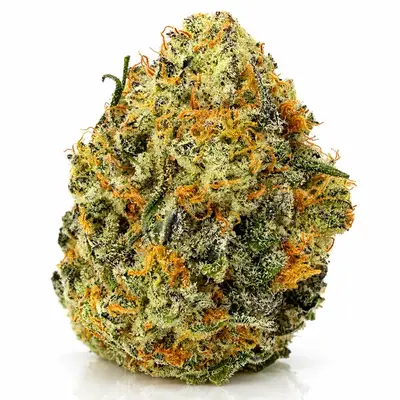 DEVIL DRIVER (EXOTIC), Indica Hybrid