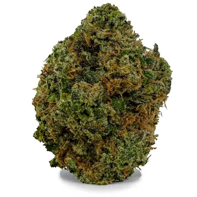 KING LOUIS XIII (CRAFT), Indica Hybrid