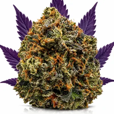 PINK ROYAL (CRAFT), Indica