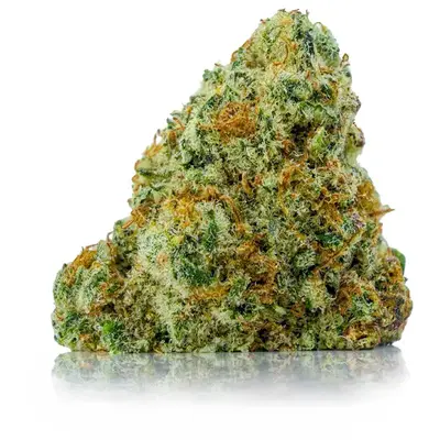 PINK HOLY GRAIL, Indica Hybrid