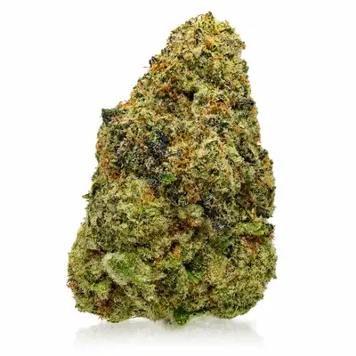 SUPER SILVER HAZE (CRAFT), Sativa Hybrid