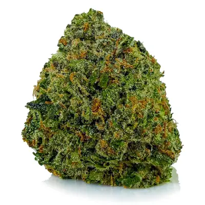 PINK VELVET (EXOTIC), Indica Hybrid