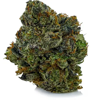 PURE MICHIGAN (EXOTIC), Indica