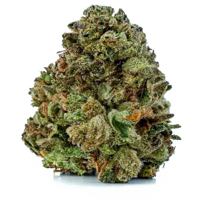 ROYAL GORILLA(BUDGET), Indica Hybrid