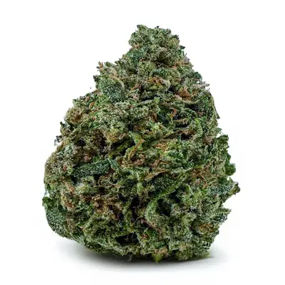 SKYWALKER KUSH (BUDGET), Indica Hybrid