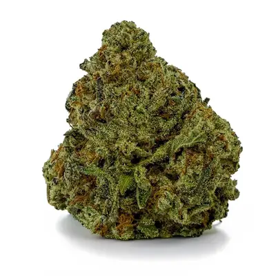 SLURRICANE (BUDGET), Indica Hybrid