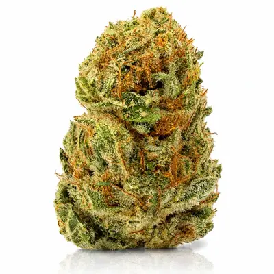 SUPER LEMON HAZE, Sativa