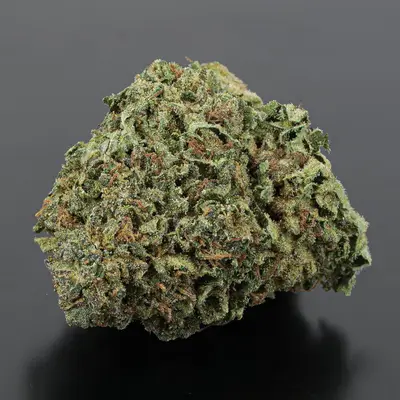 VEGAS OG, Indica