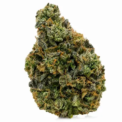WORLD CUP KUSH (SALE)(CRAFT), Indica Hybrid
